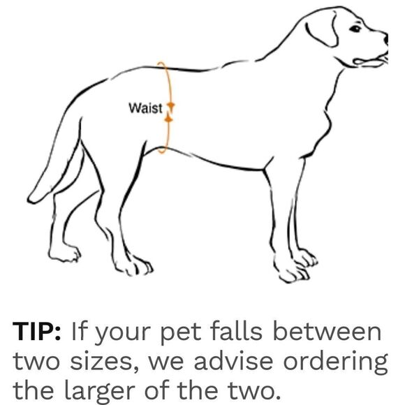 PET PARENTS BLACK BELLY BAND MALE DOG WRAP DIAPER SIZE LARGE - Picture 9 of 9